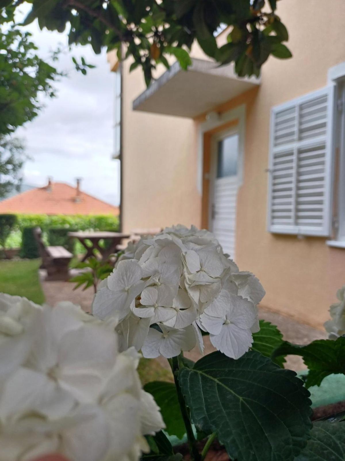 Apartments For Friends Trebinje Esterno foto